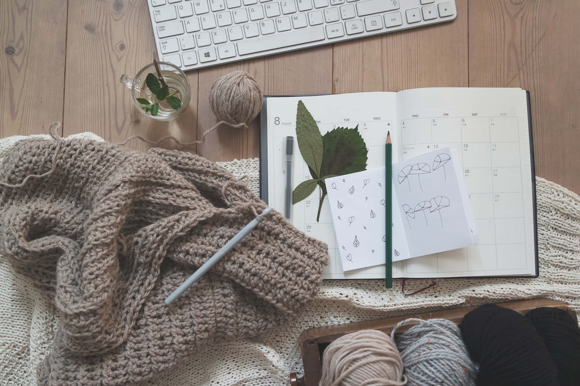 Caption: A Still Life of Knitting Essentials Wallpaper