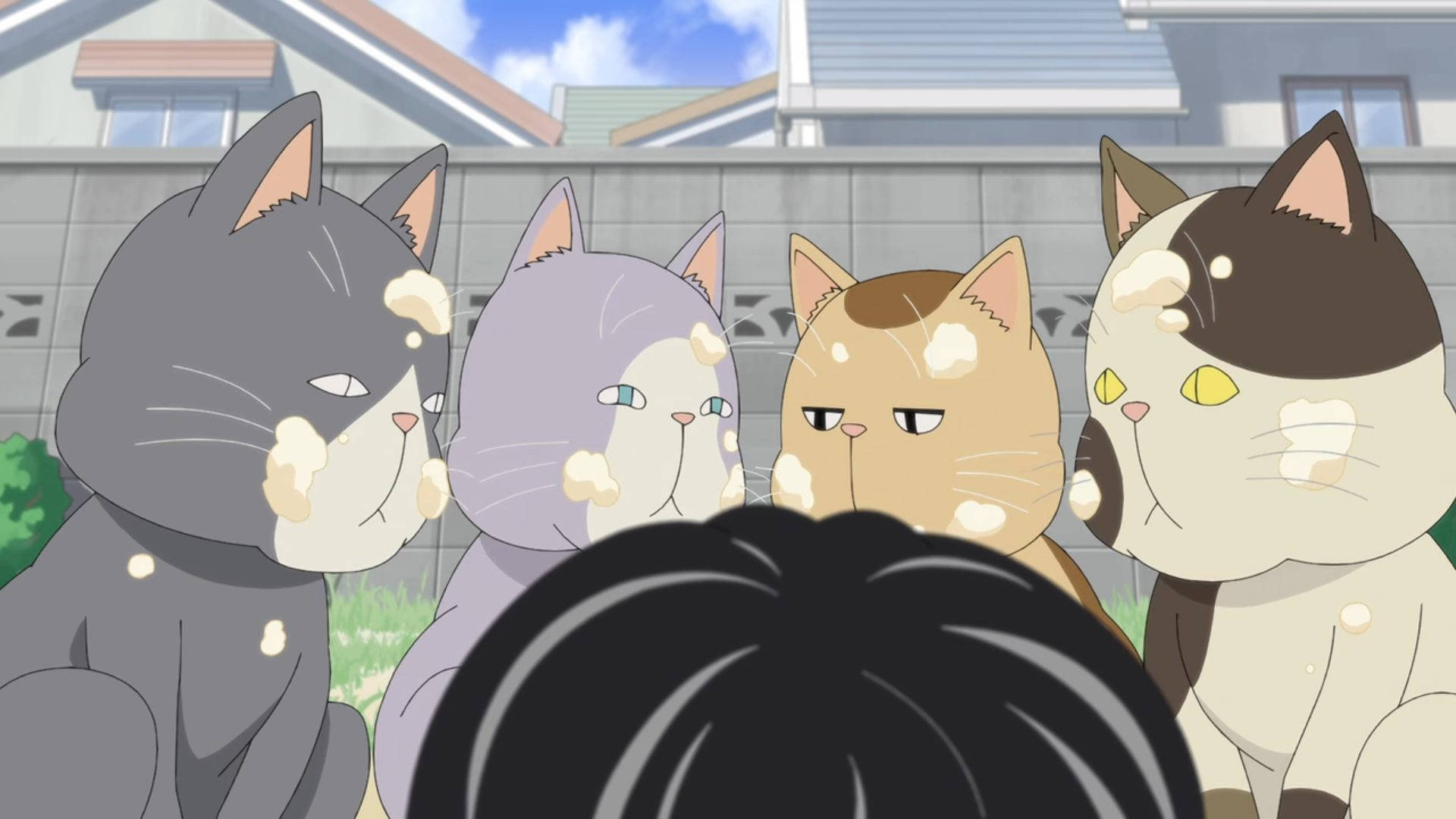 Kotaro Lives Alone Neighborhood Cats Wallpaper