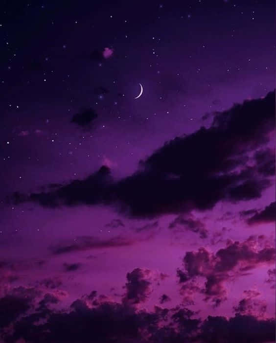 Night Scenery Lavender Pastel Purple Aesthetic Background