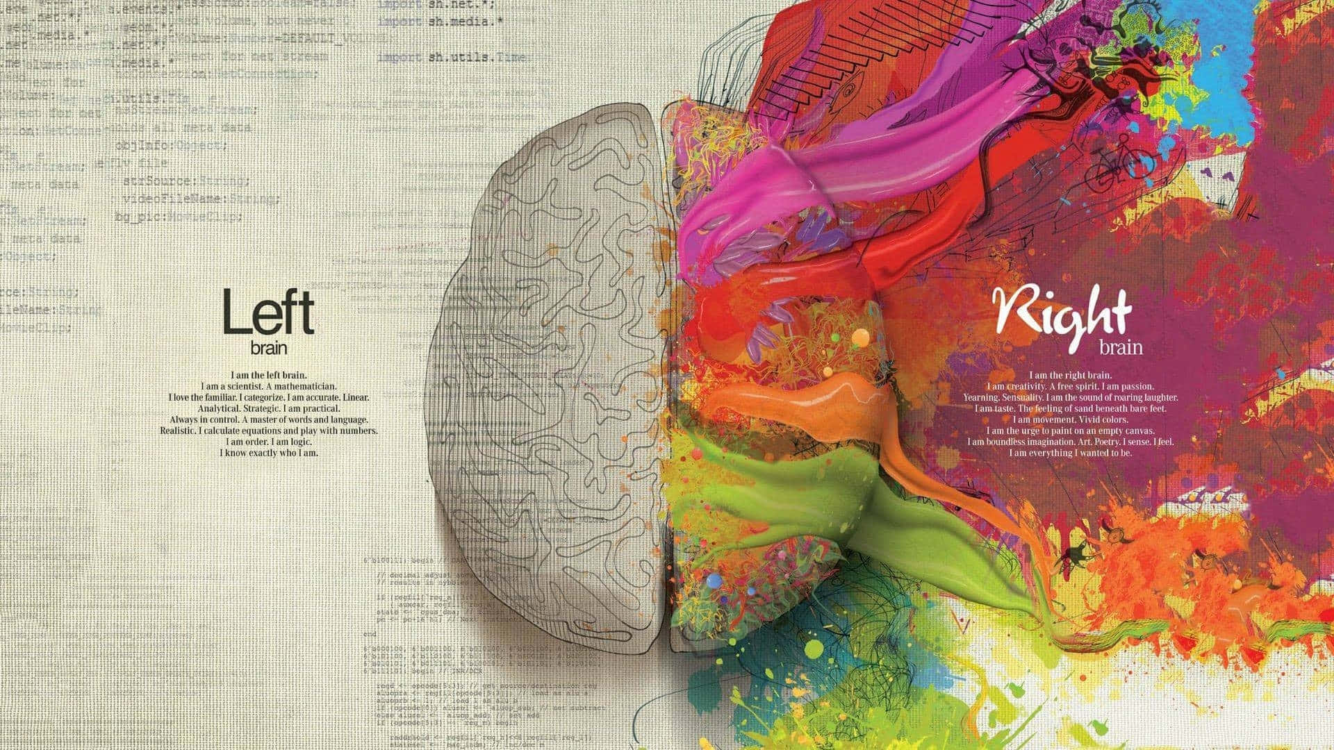 Human Brain Paradox Against Faded Background Wallpaper