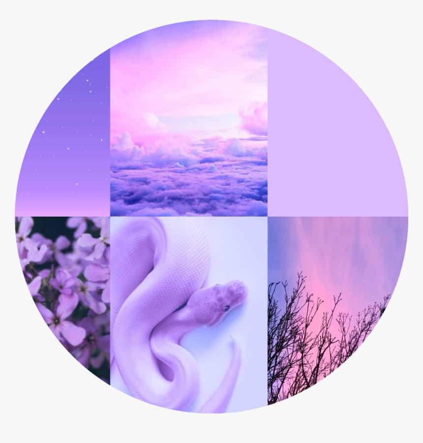 Aesthetic Collage Logo Lilac Background