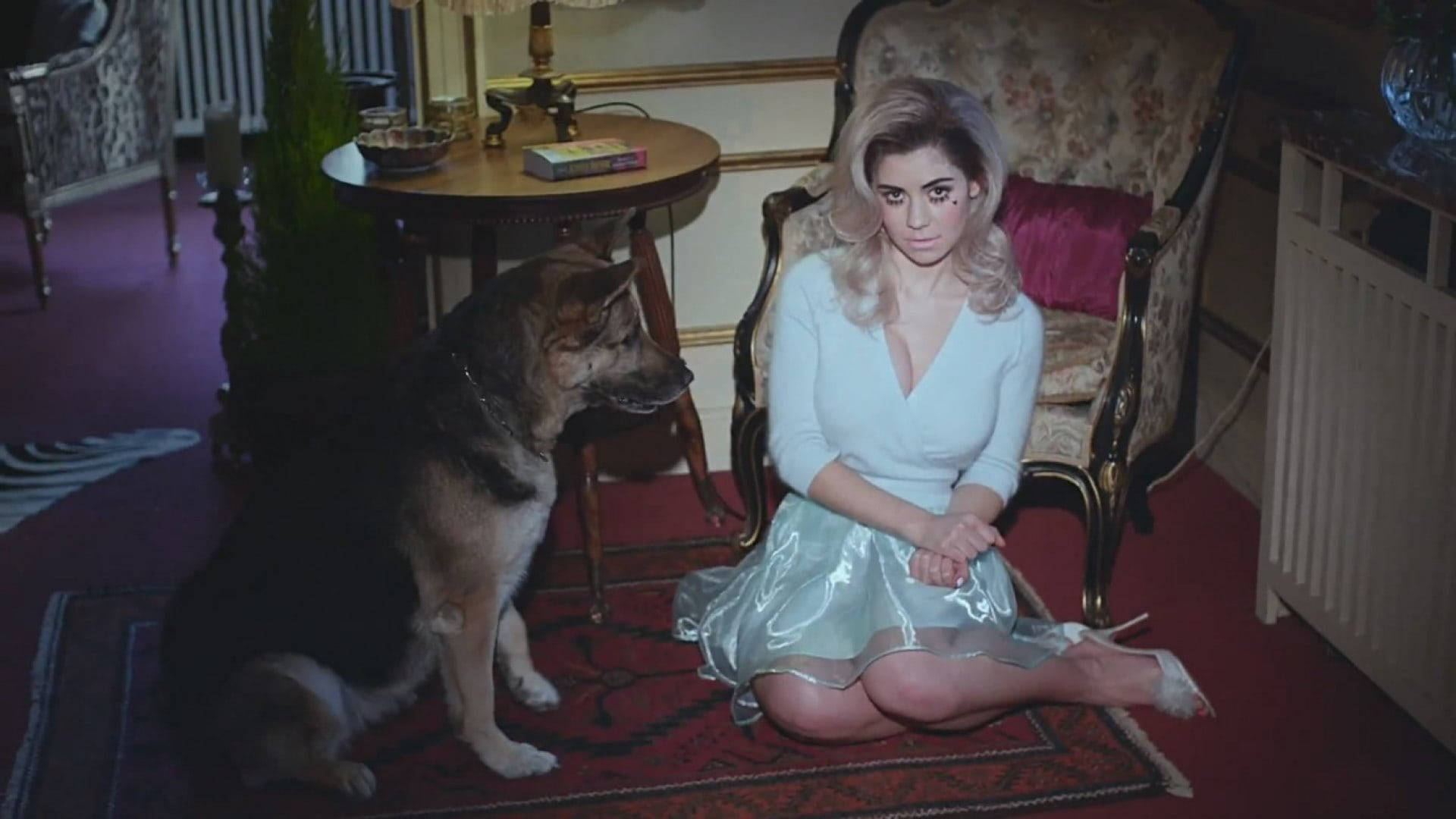 Marina And The Diamonds With Dog Wallpaper