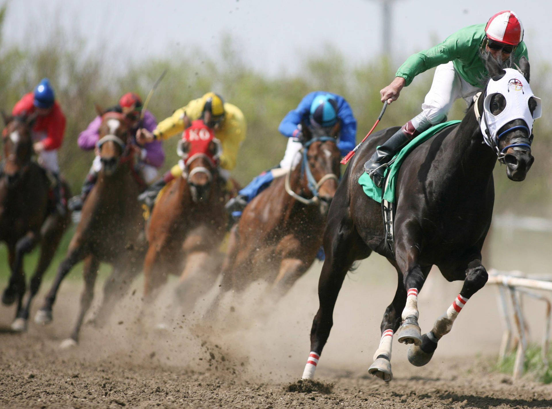 Masked Horses In A Horse Racing Wallpaper