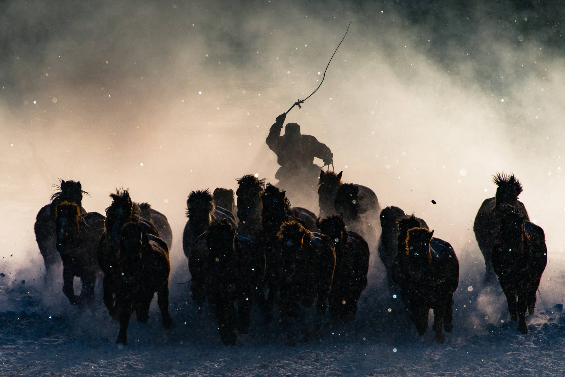 Majestic Mongolian Horse Shepherd Wallpaper