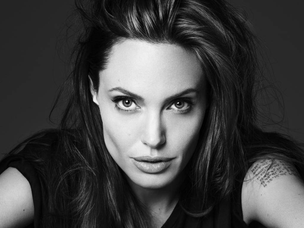 Angelina Jolie Monochrome Portrait Wallpaper