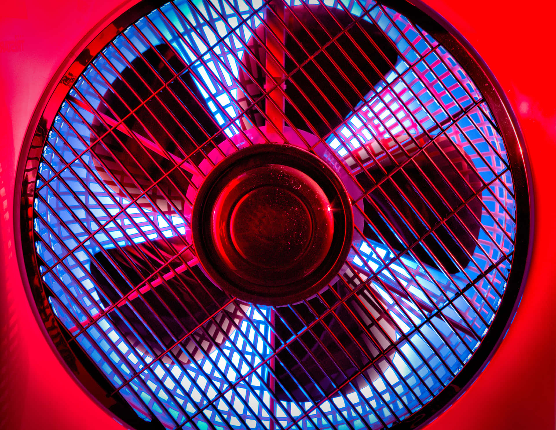 Neon Red Fan Wallpaper