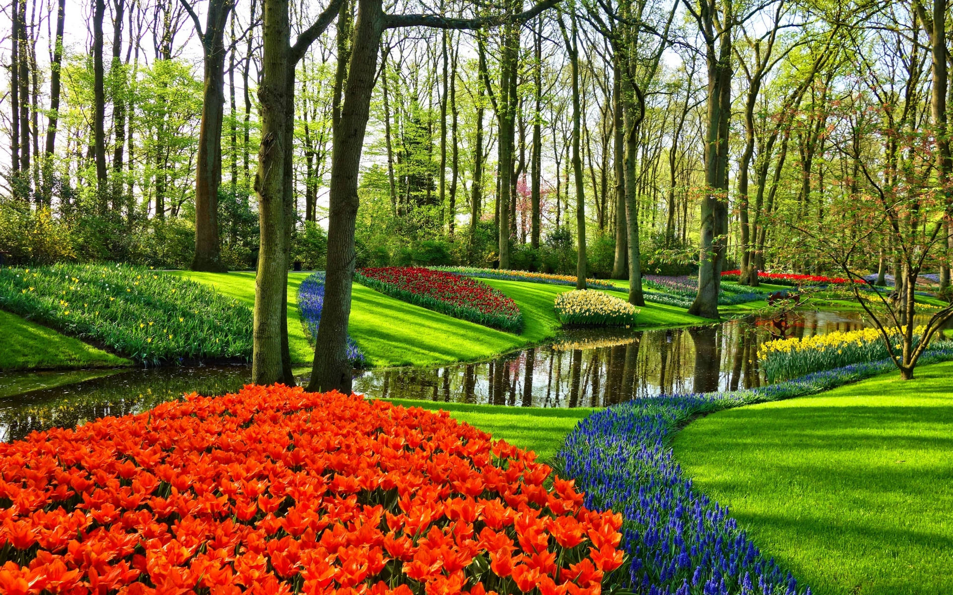 Netherlands Lush Flower Park Wallpaper