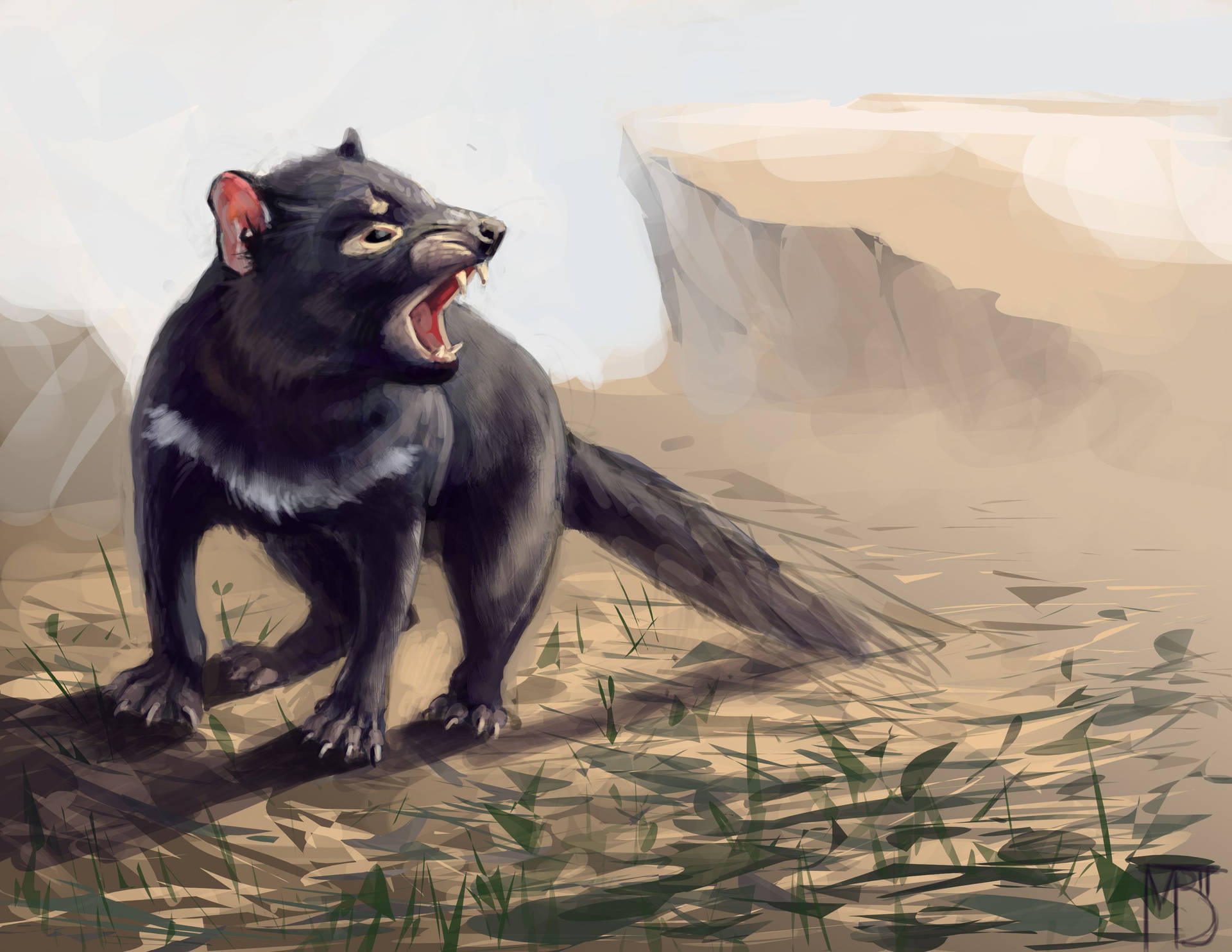 This photo captures the fearsome beauty of Tasmanian Devil Wallpaper