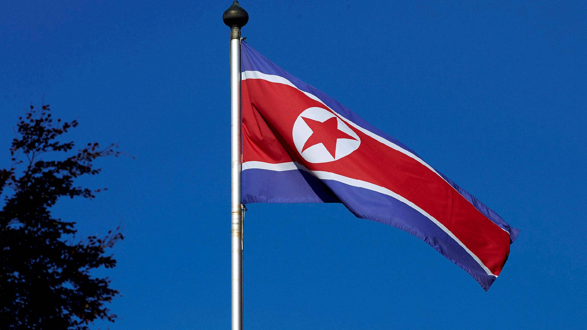 North Korea Flag With Tree Behind Wallpaper
