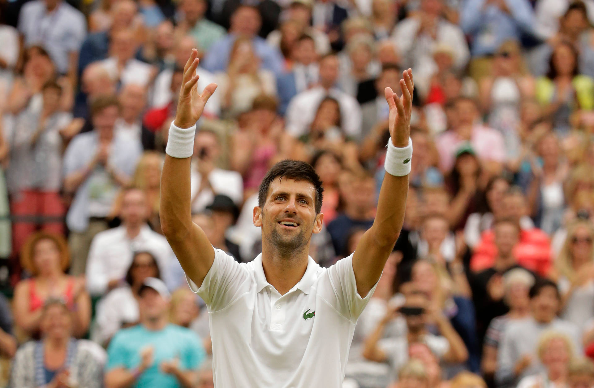 Novak Djokovic Wimbledon 2021 Wallpaper