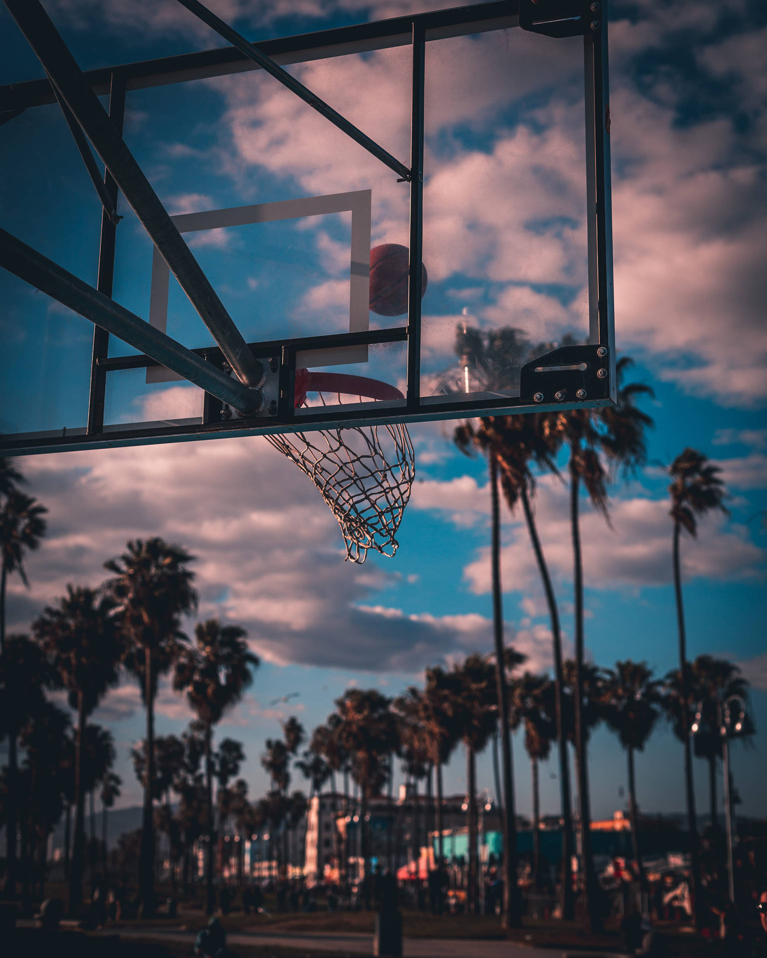Palm Tree Sunset Basketball Hoop  Wallpaper