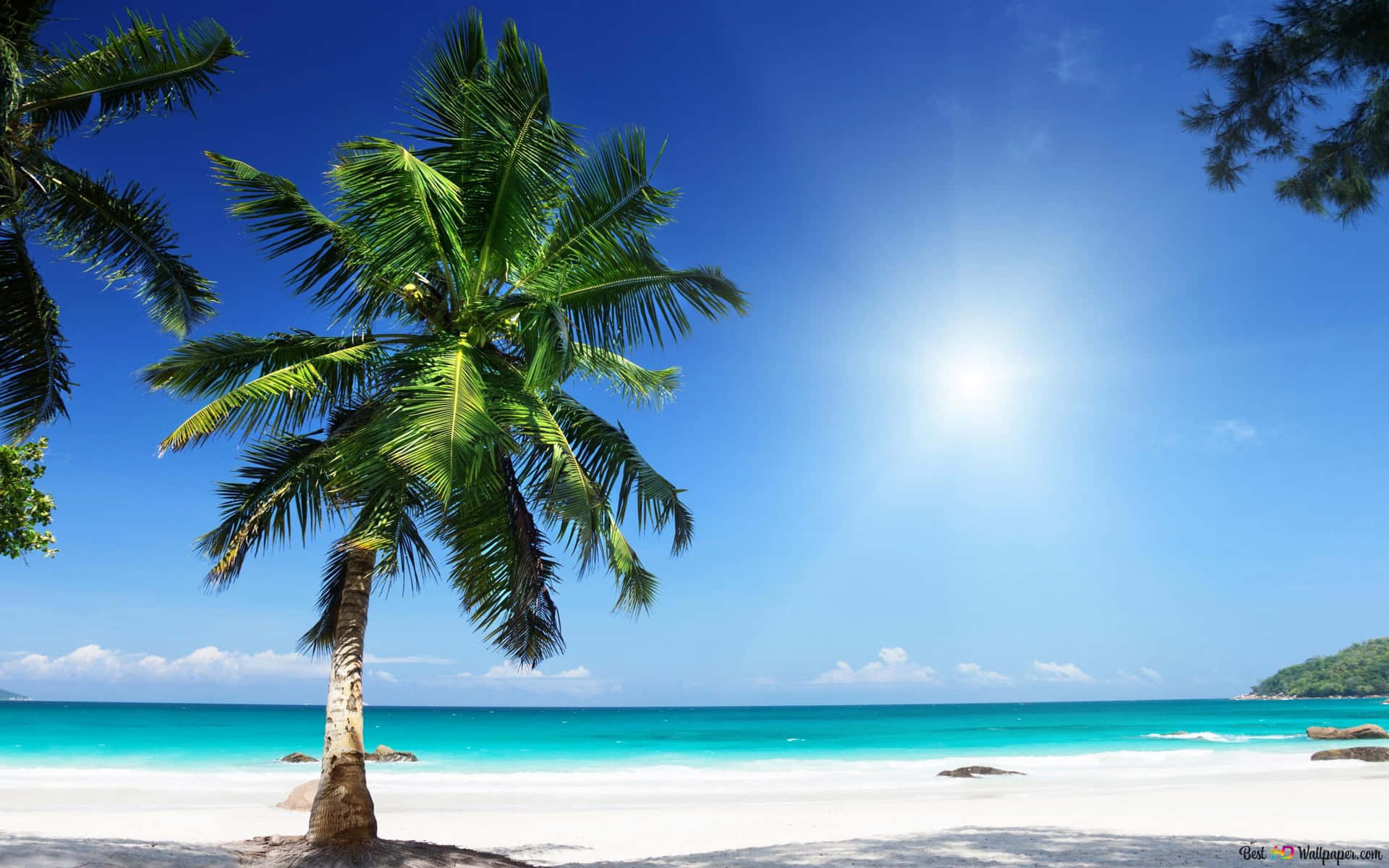 Palm Trees Beach Summer Holiday Wallpaper