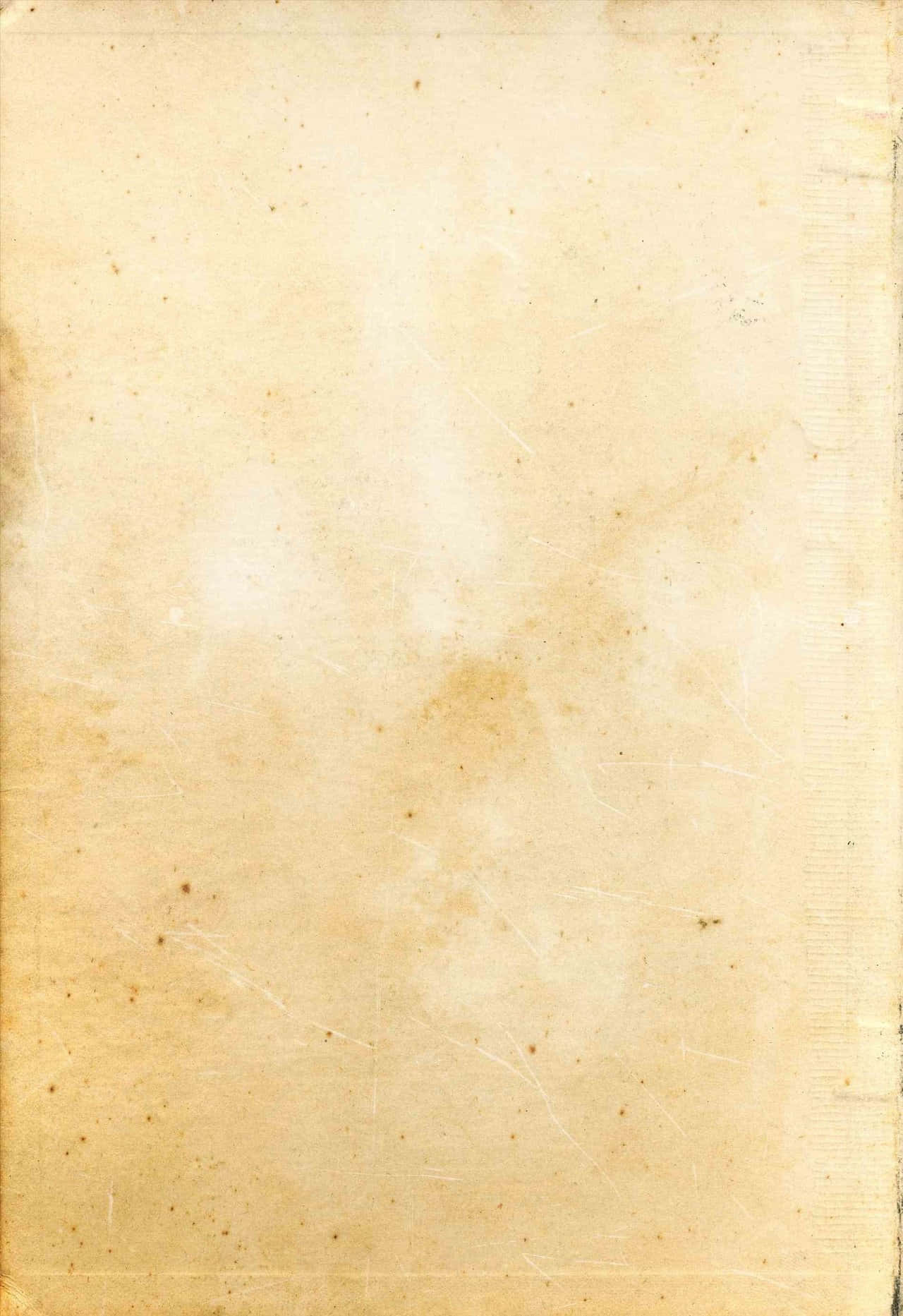 Parchment Paper Background Tiny Brown Spots