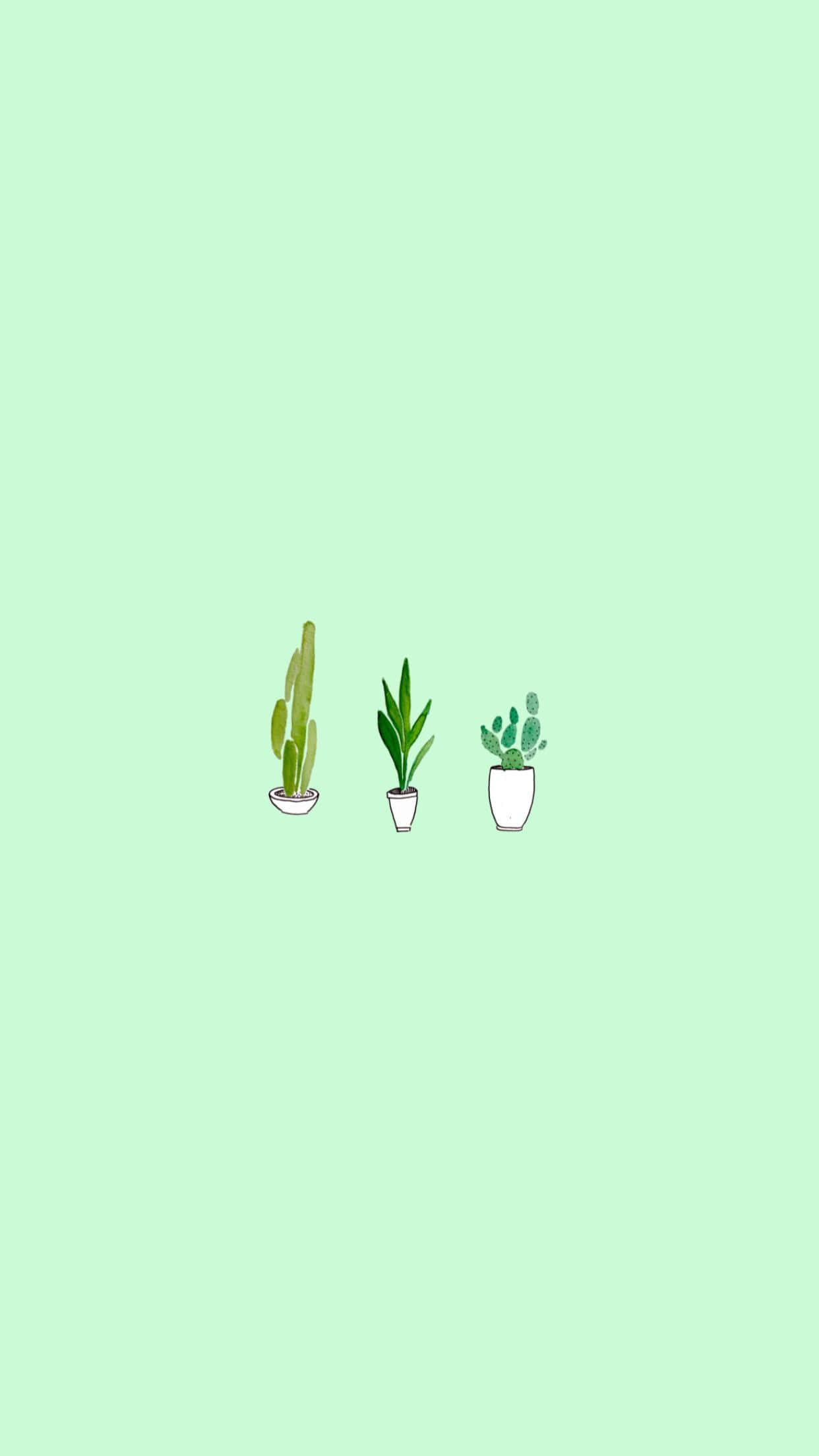 Pastel Green Background Minimalist Plants