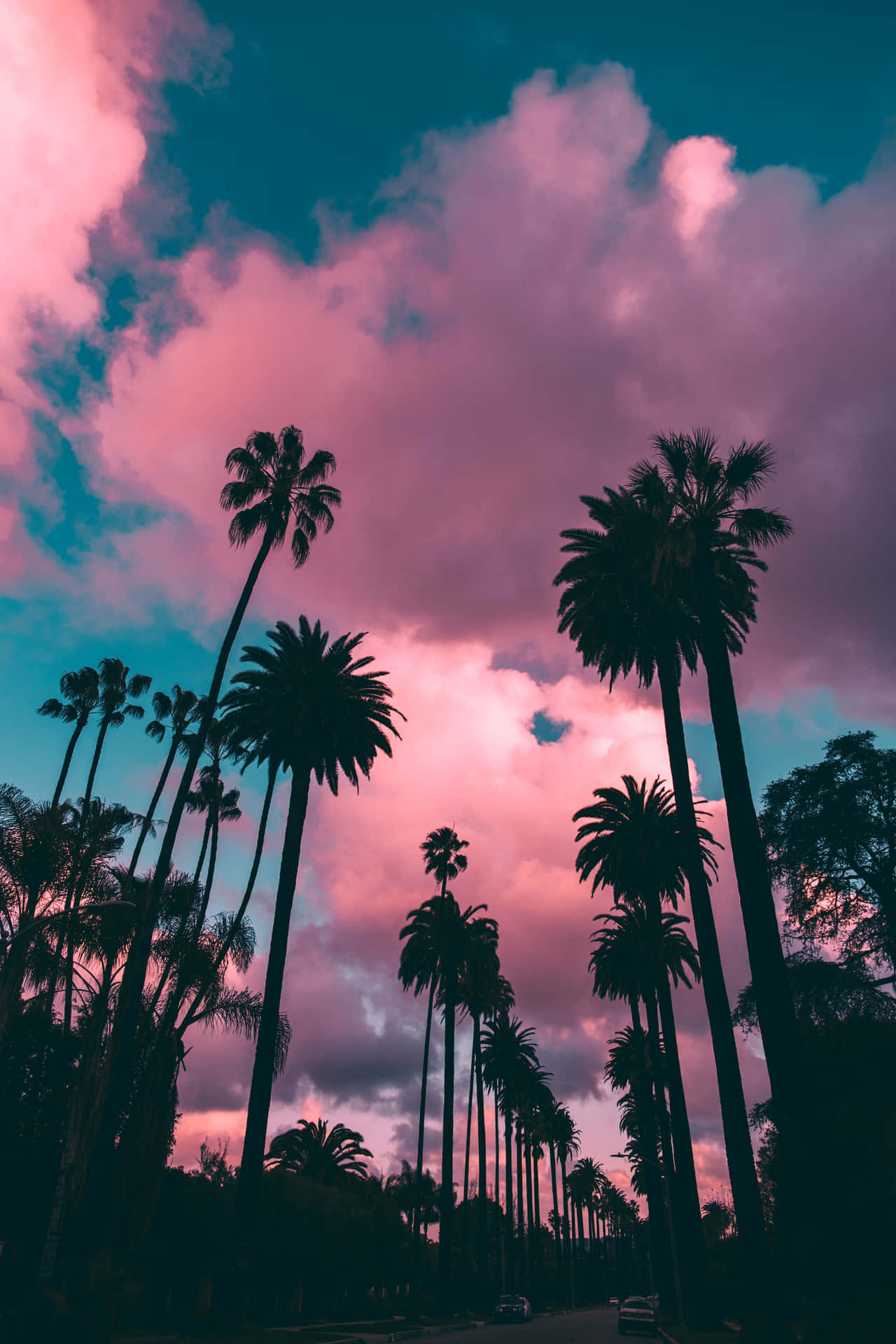 Pink Clouds Sunset With Palm Tree Wallpaper