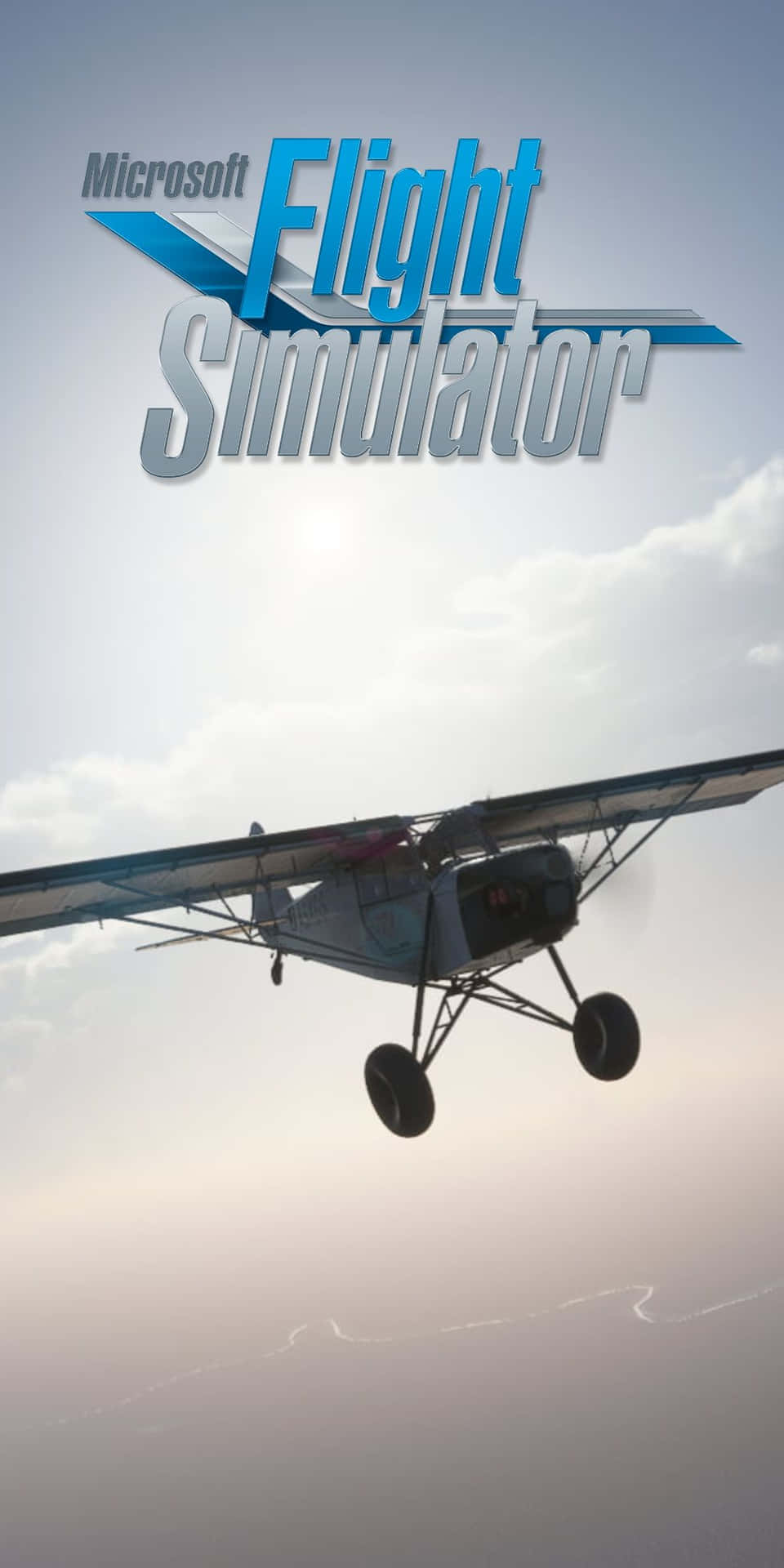 Flight Simulator - Screenshot