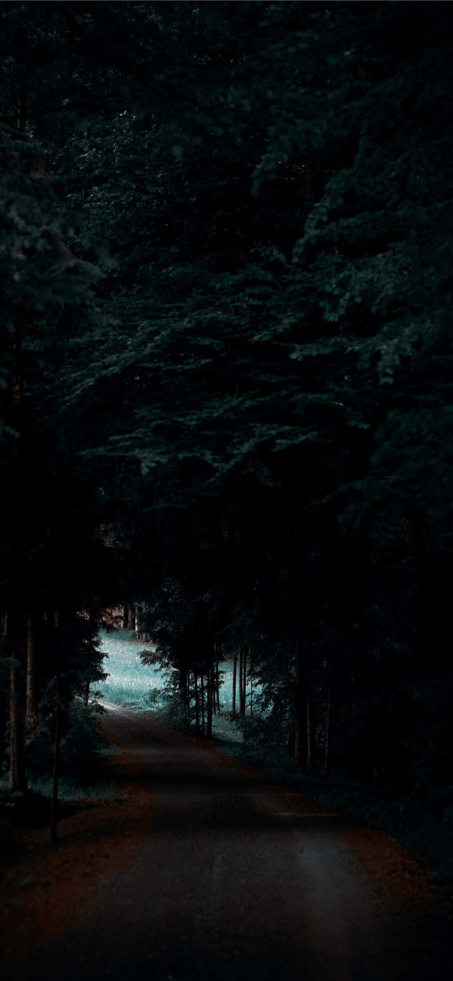 Road In Dark Forest Pixel 3 Oled Background