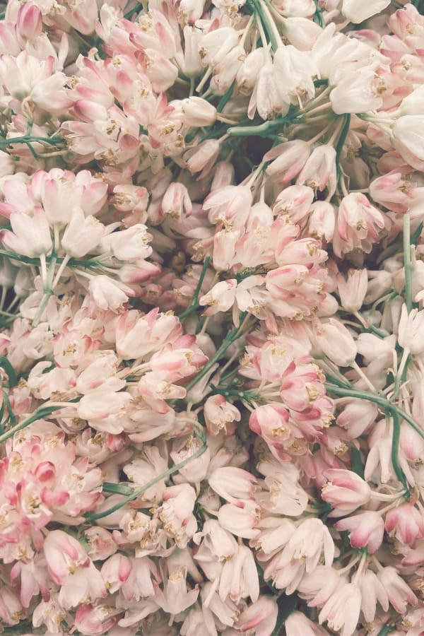 Pretty Muted Vintage Flower Aesthetic Wallpaper