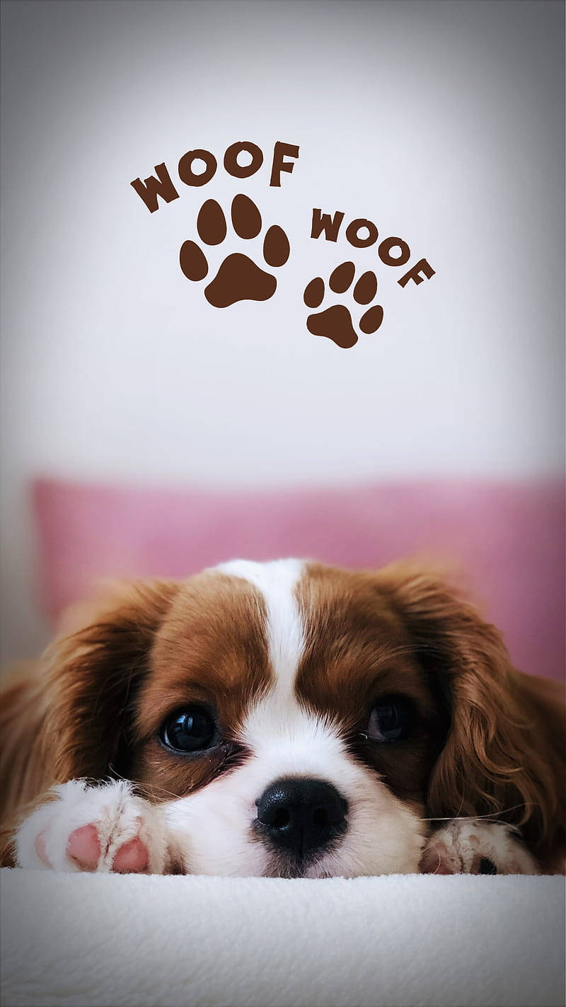 Puppy Dog Paw Marks Wallpaper