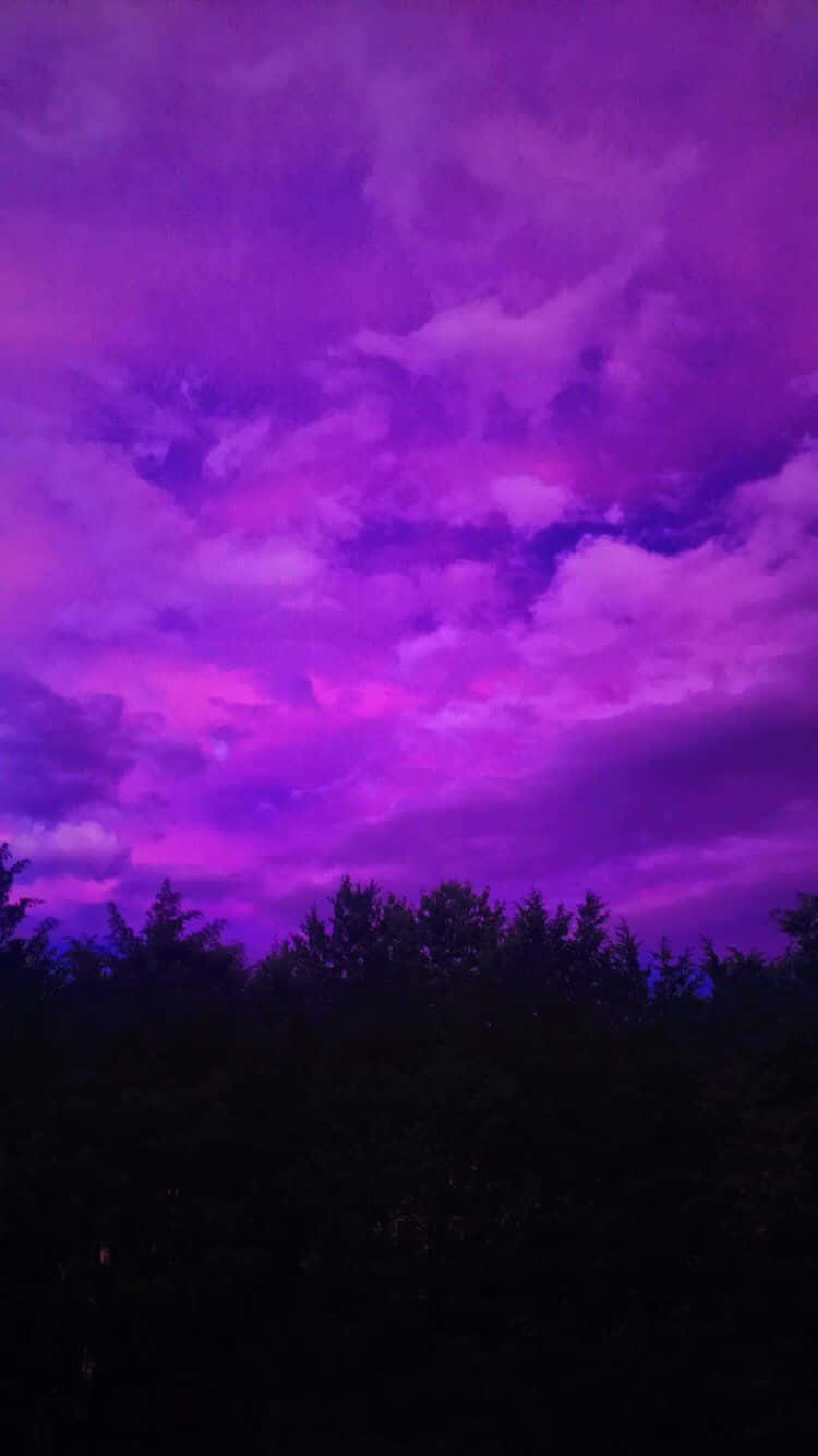 Purple Aesthetic Cloudy Sky Above Forest Picture