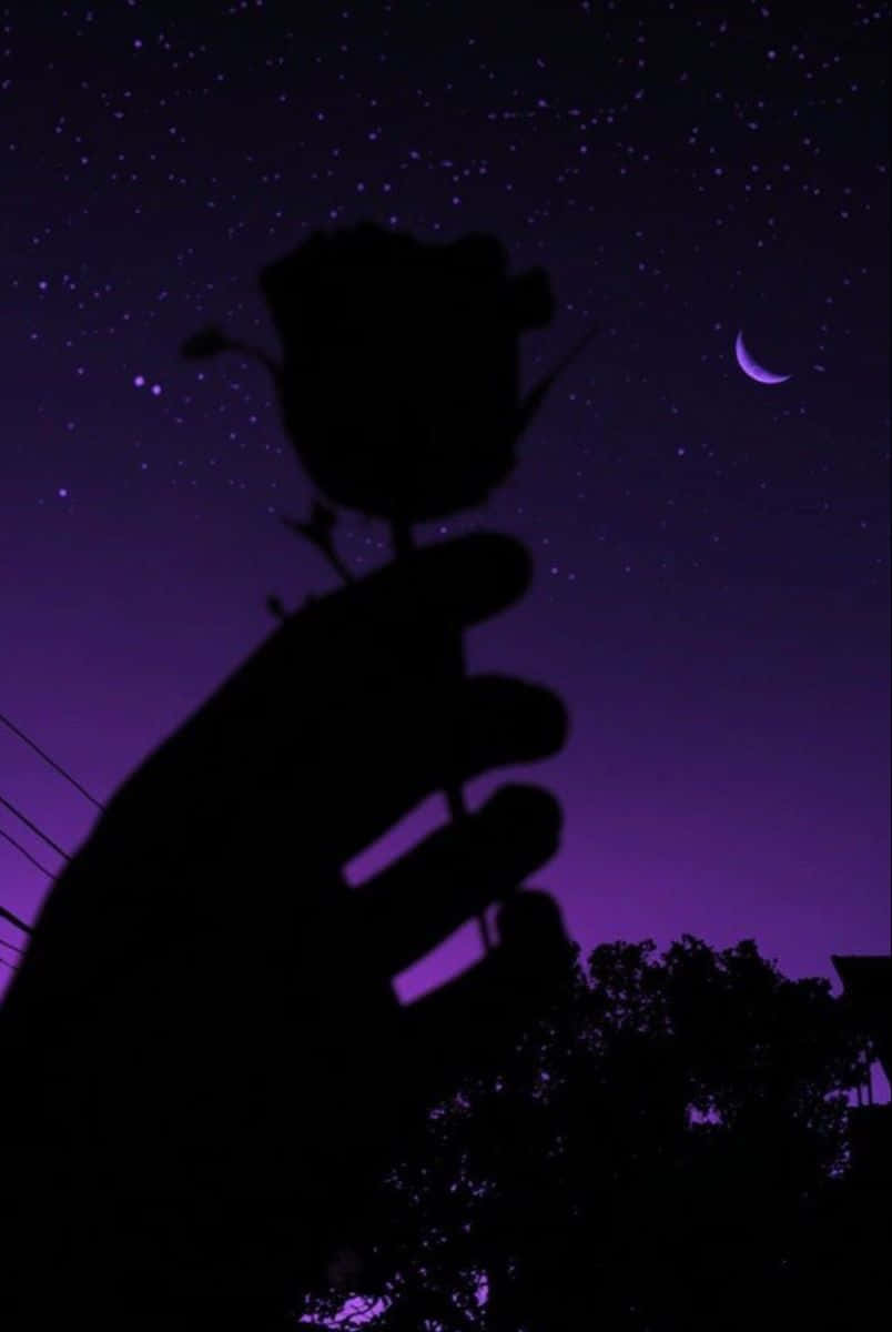 Purple Aesthetic Silhouette Hand Holding Rose Night Sky Picture