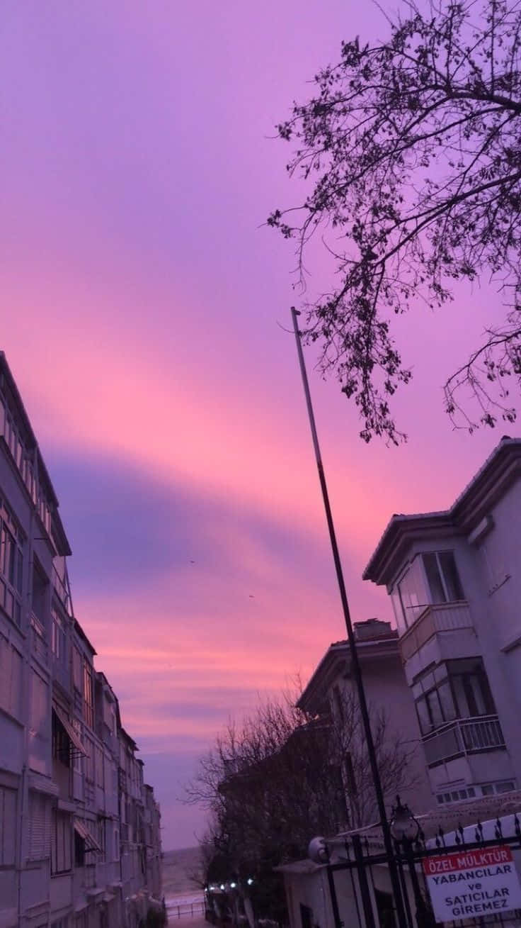 Purple Aesthetic Sky Above Neighborhood Picture