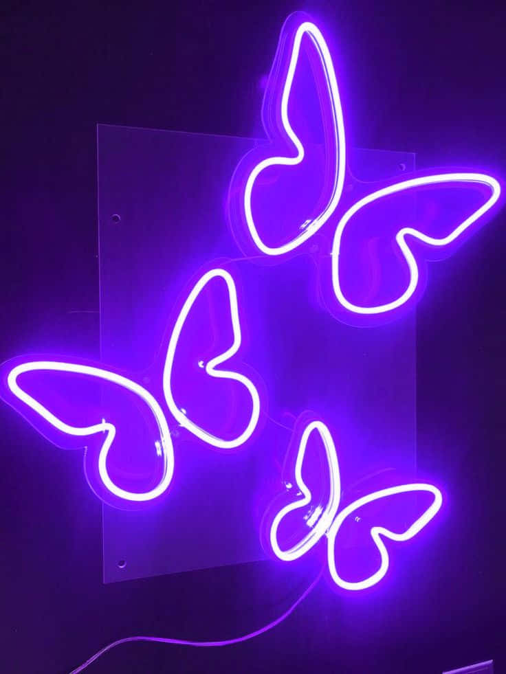 Purple Aesthetic Neon Light Butterflies Picture