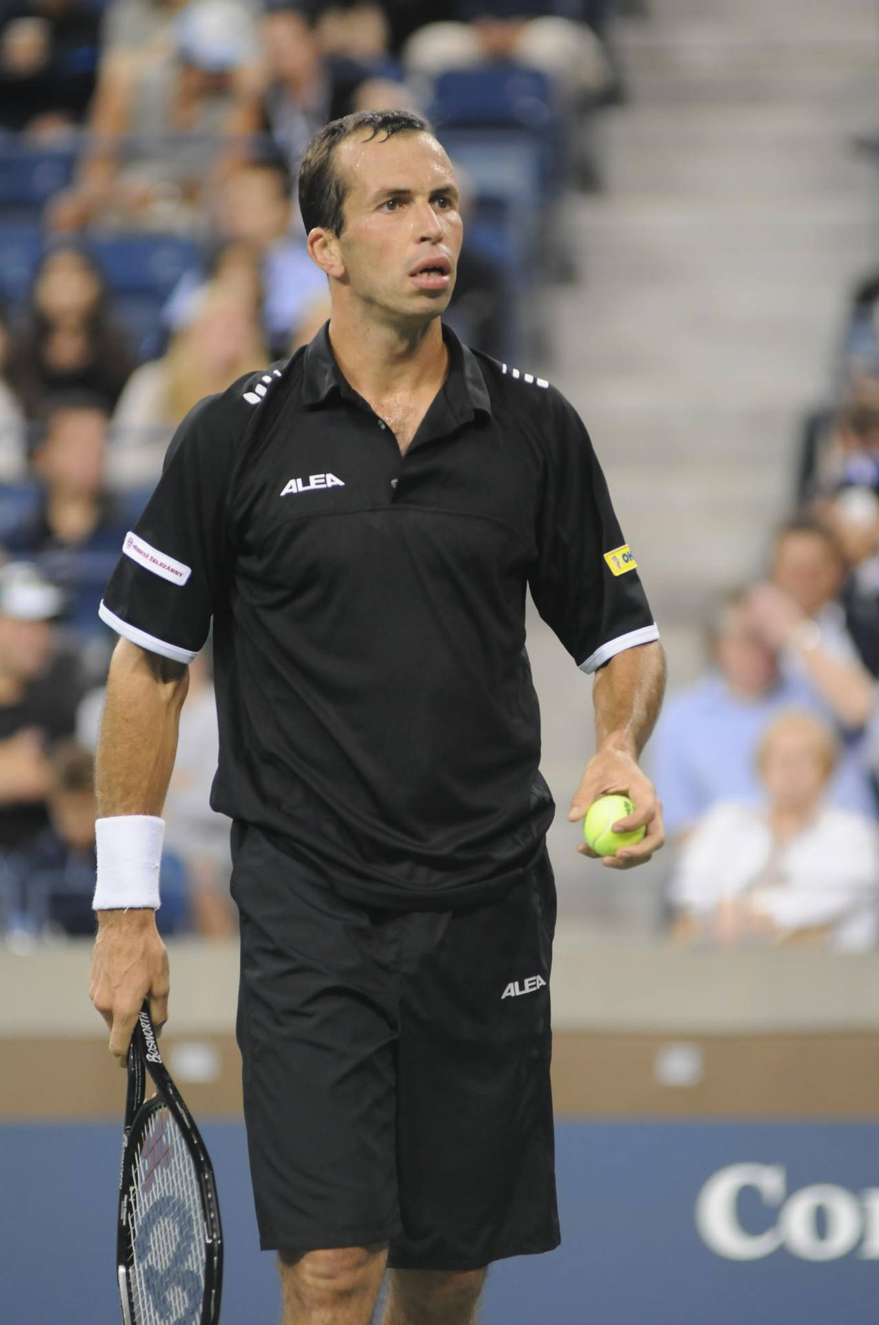 Radek Stepanek In Black Tennis Outfit Wallpaper