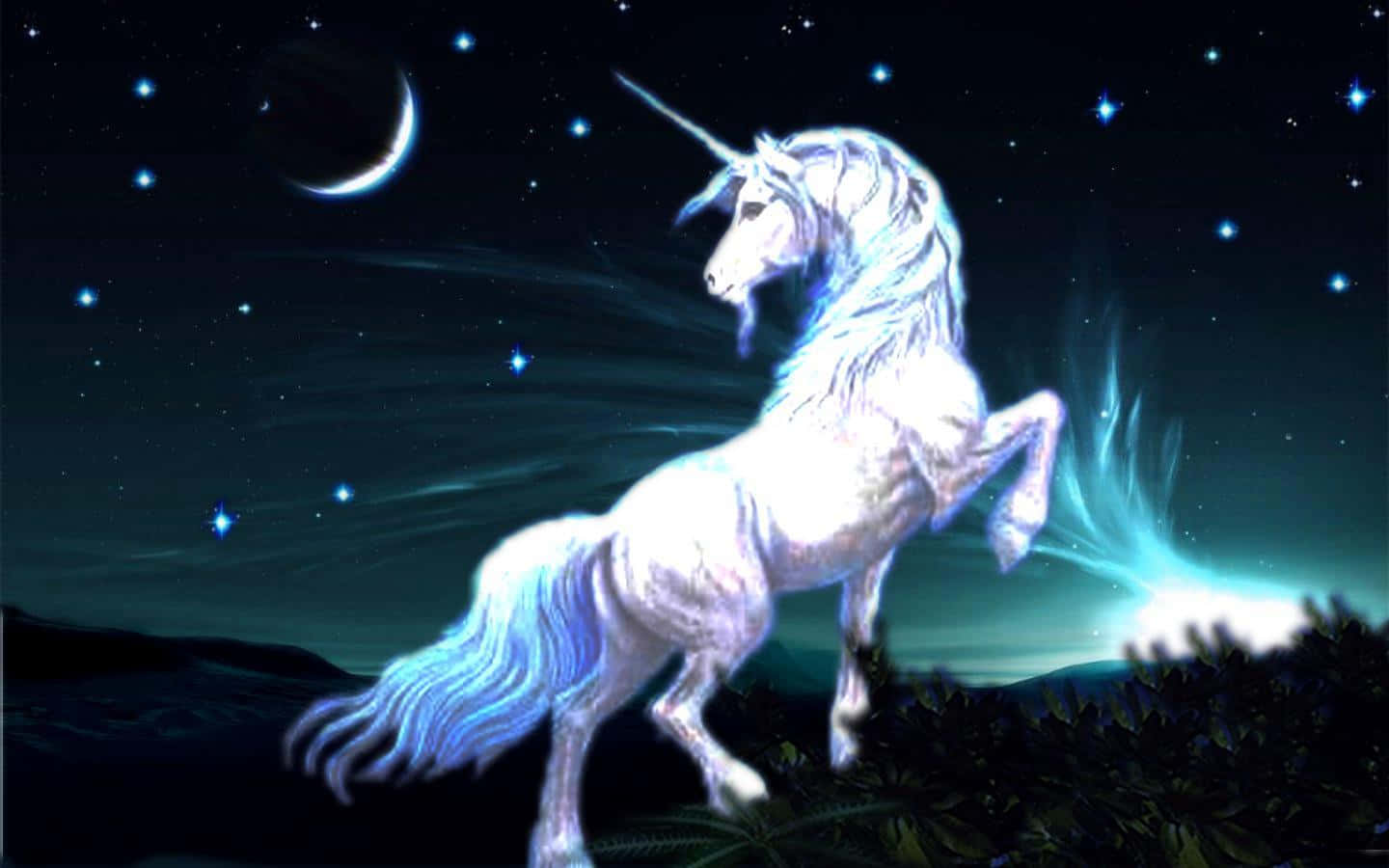 Magical Real Unicorn Wallpaper