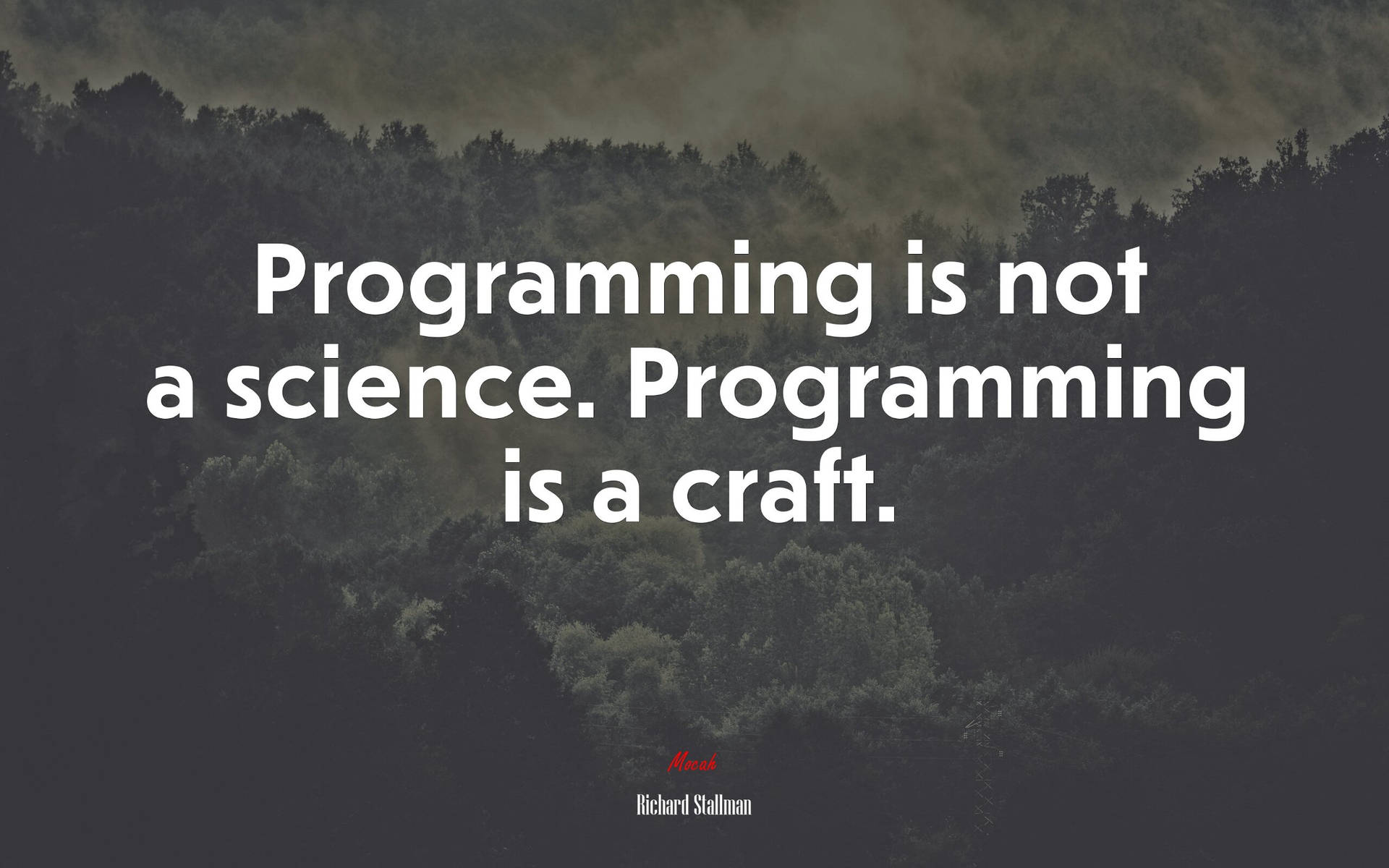Inspirational Programming Quote by Richard Stallman Wallpaper