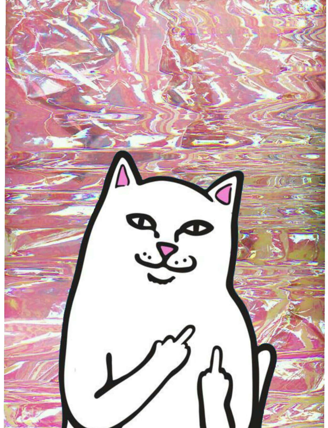 A White Cat With A Pink Holographic Background Wallpaper