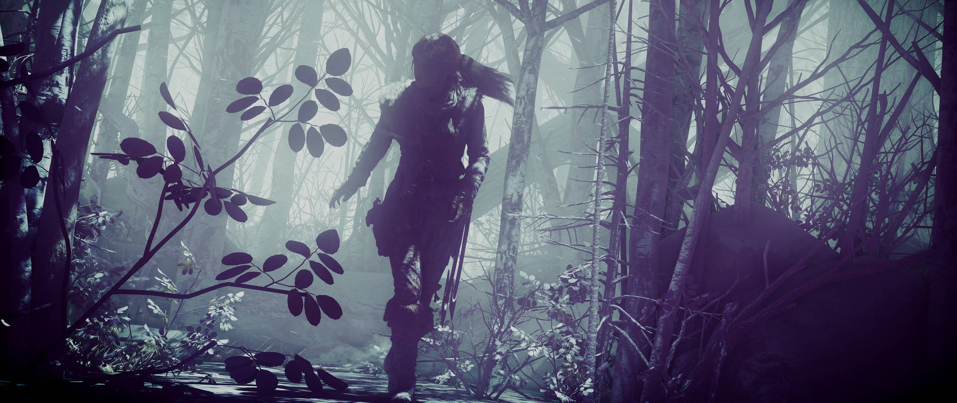 Rise Of The Tomb Raider Lara In The Forest Wallpaper