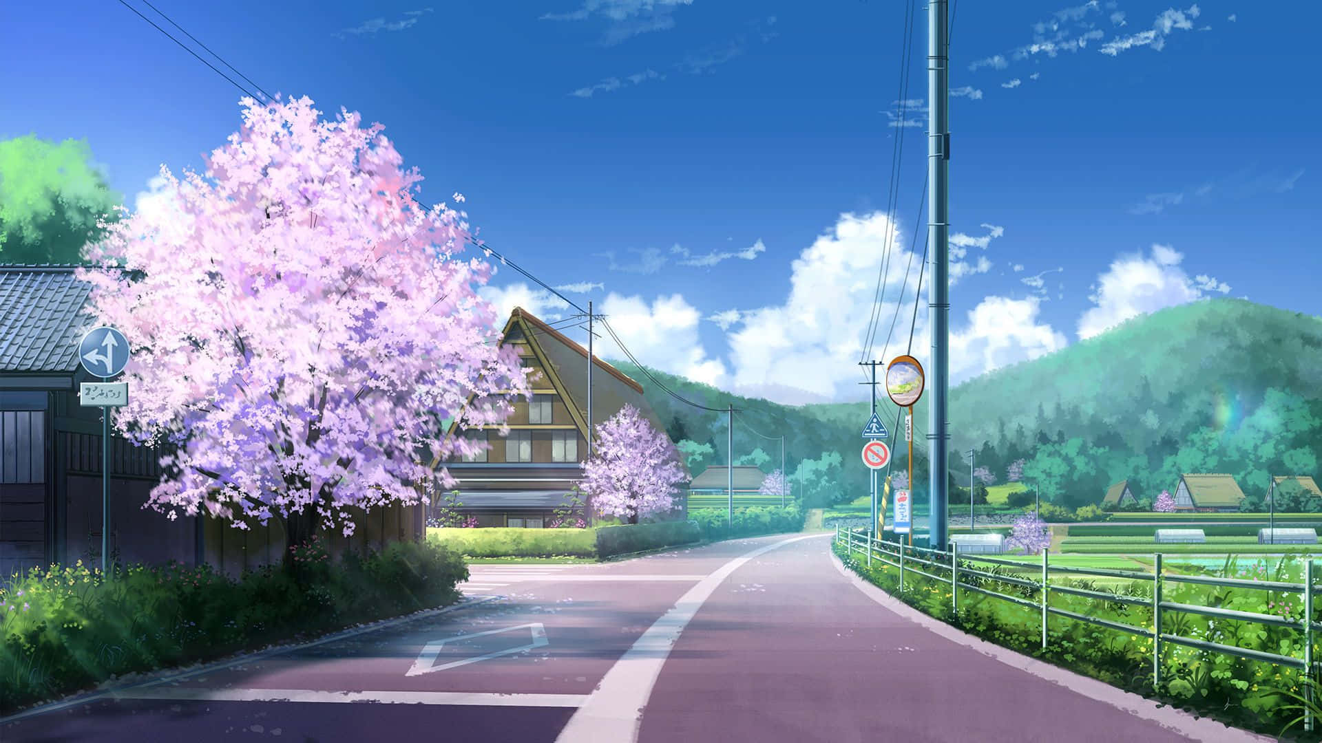 Anime Cherry Blossom Tree On The Road Background