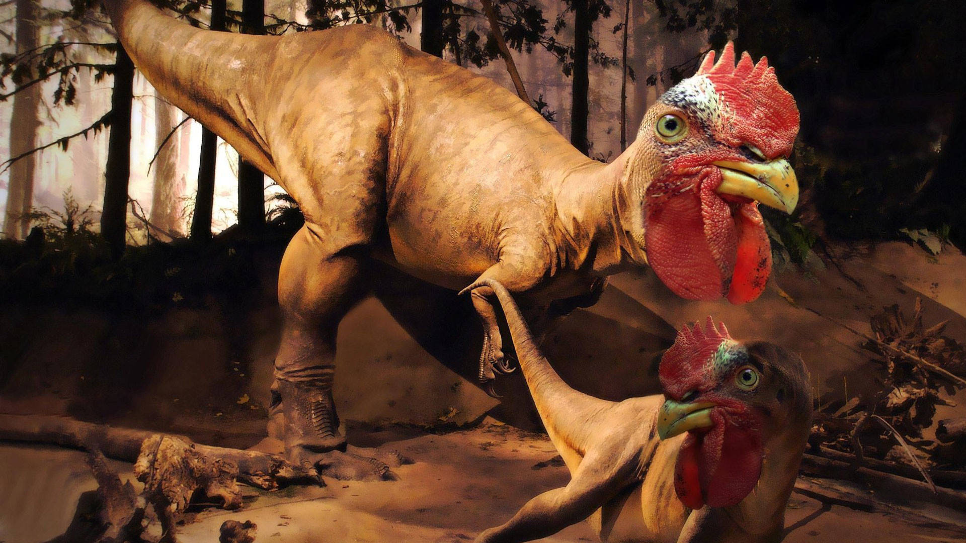 Rooster Dinosaur Hybrid Surreal Unique Hd Wallpaper