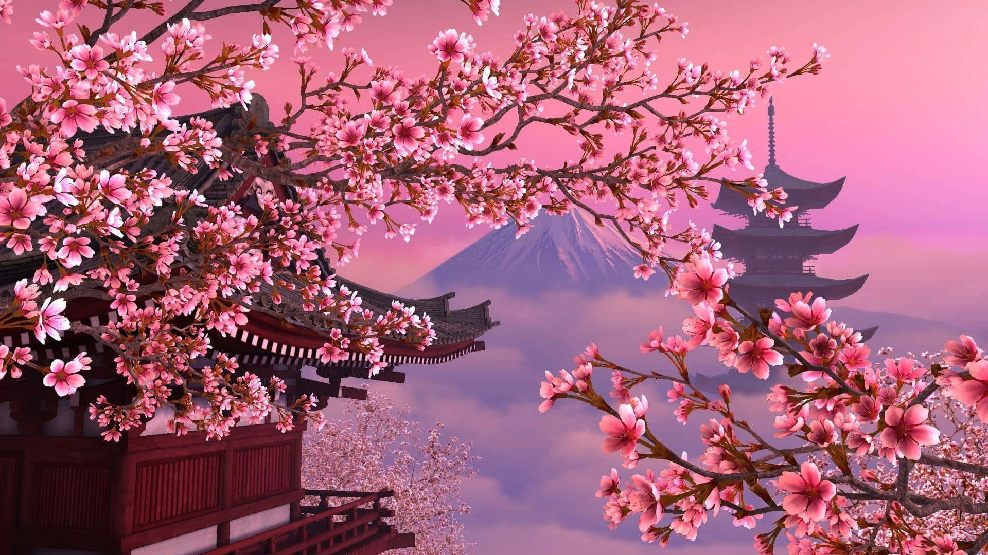 A Sakura themed PC Wallpaper