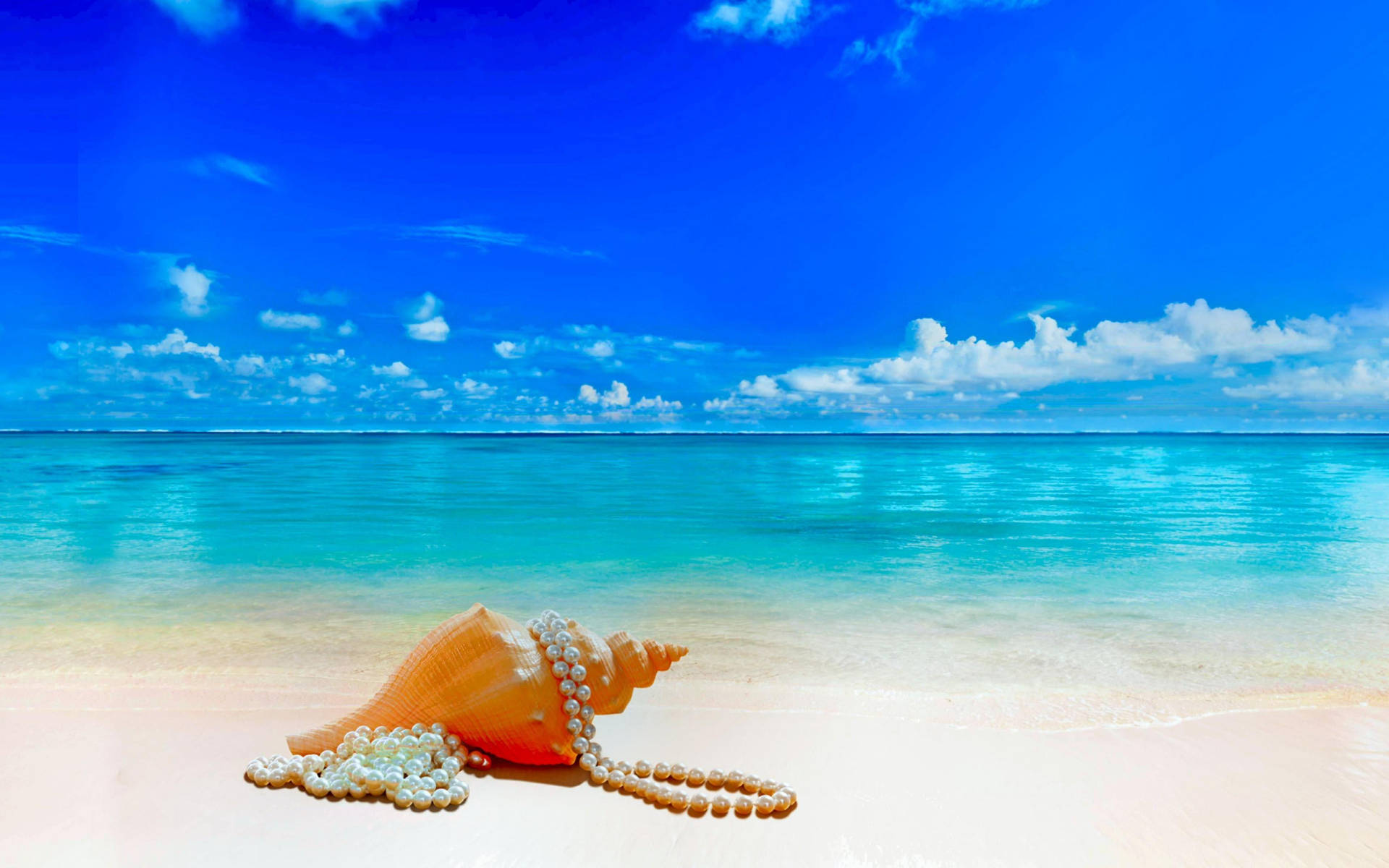 Shell And Pearls In Shore Wallpaper