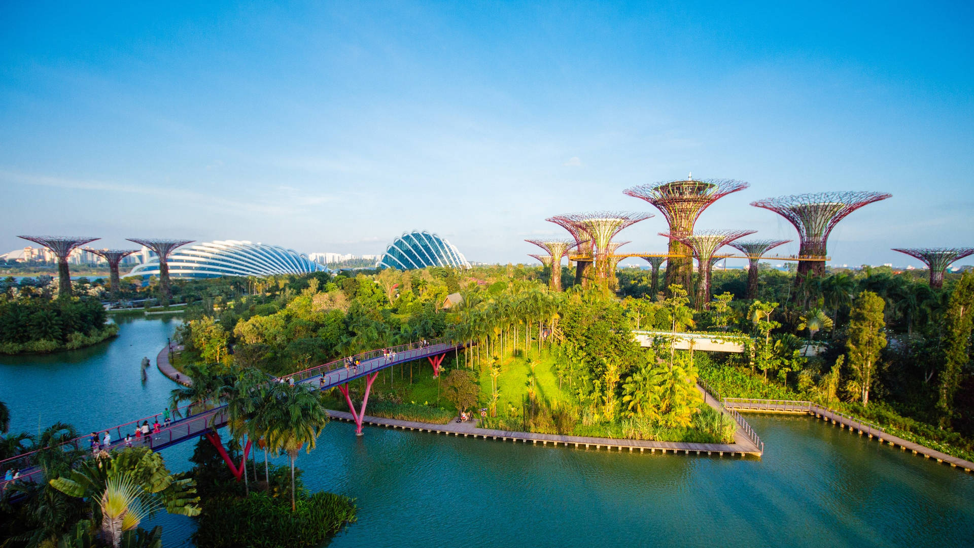 Singapore's Gardens By The Bay Wallpaper