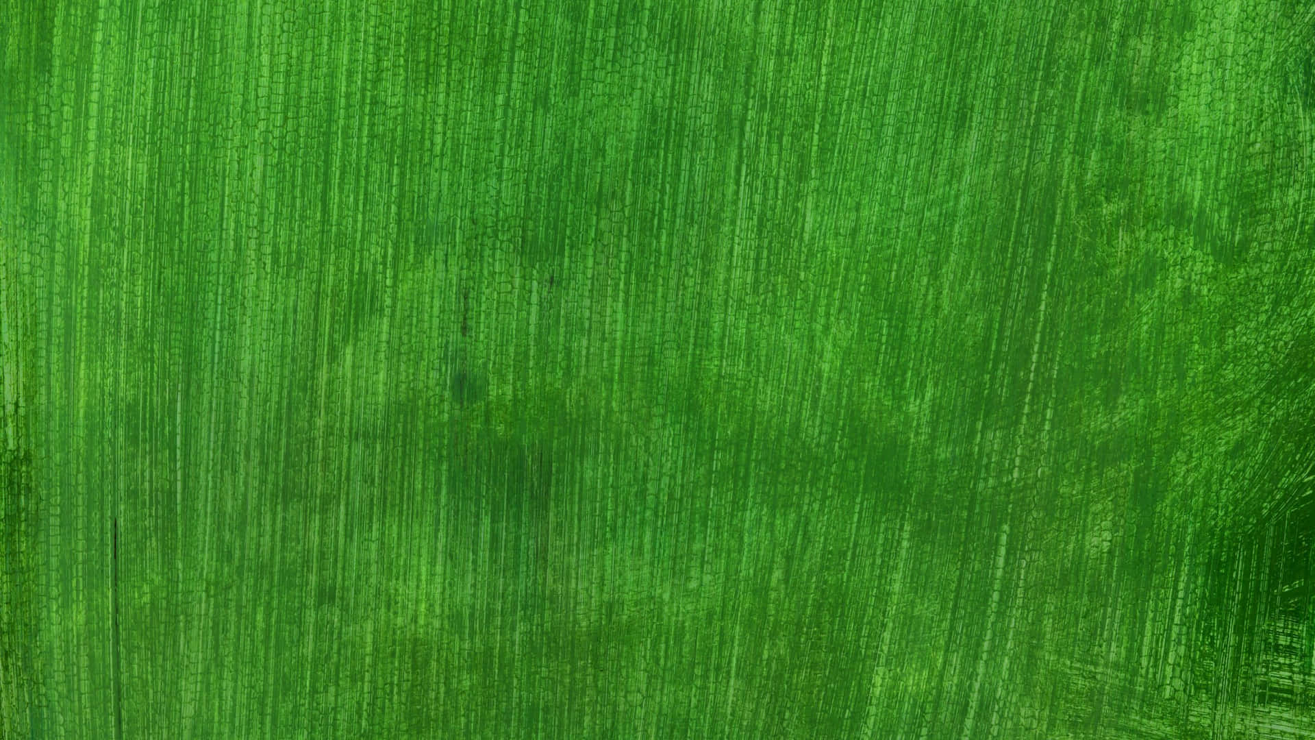 Green is the New Black Wallpaper