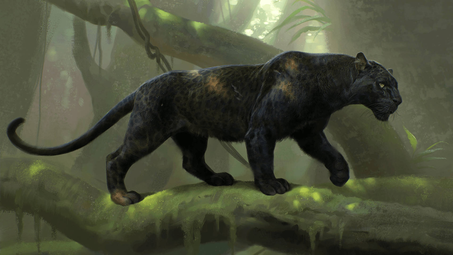 Strong Black Panther Animal Wallpaper
