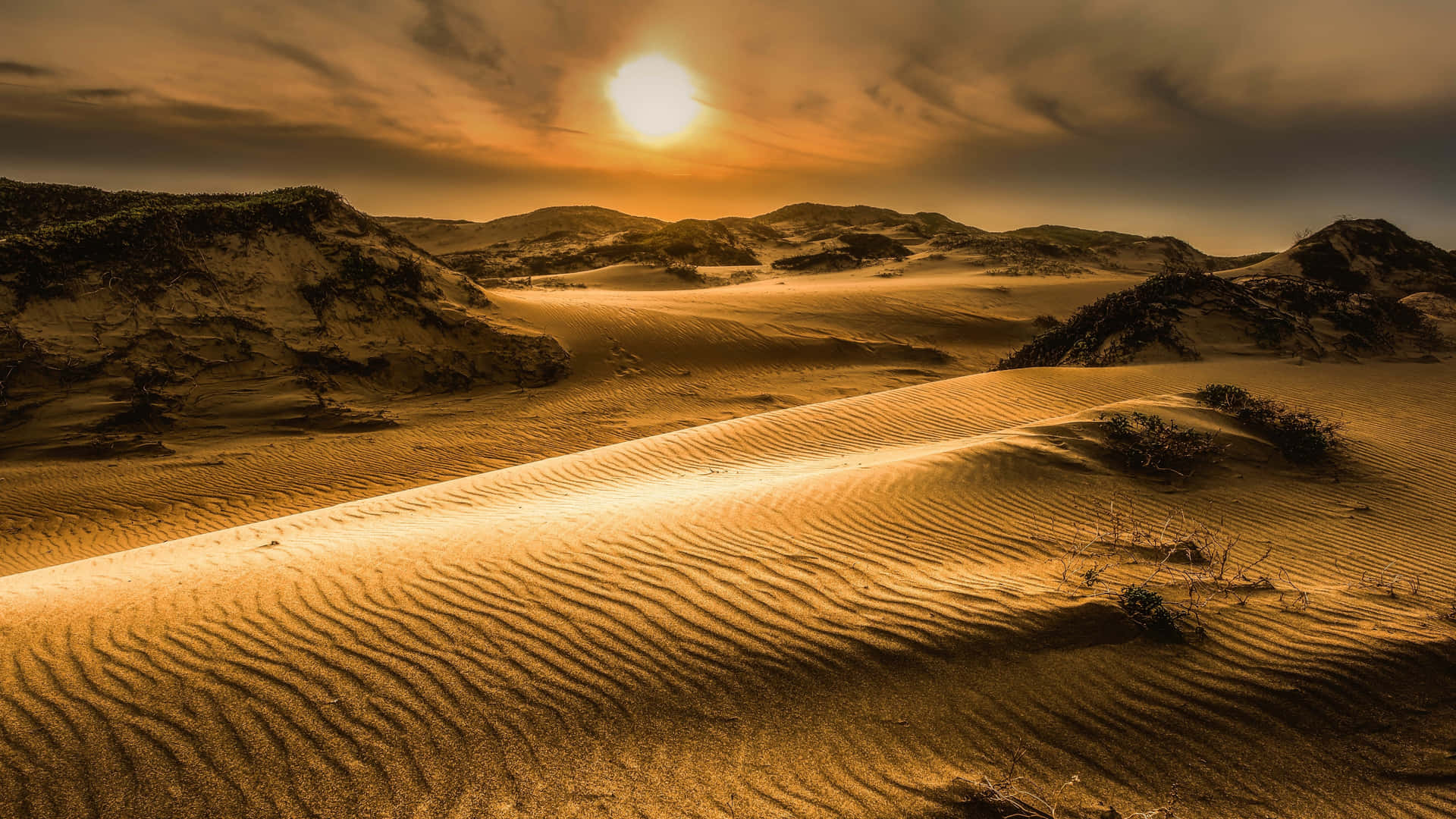 Sunny Sahara Desert Sand Wallpaper
