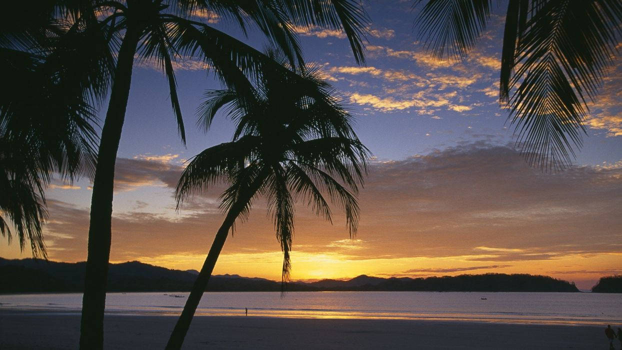 Sunrise At Costa Rica Beach Wallpaper