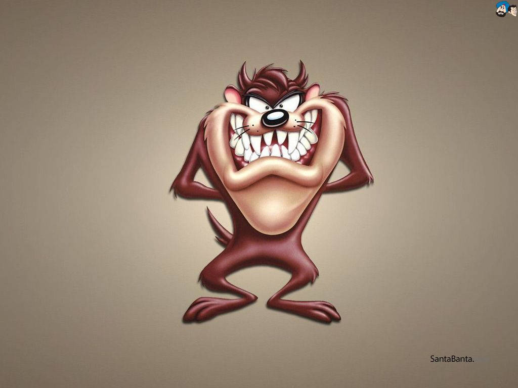 The Dangerous and Misunderstood Tasmanian Devil Wallpaper