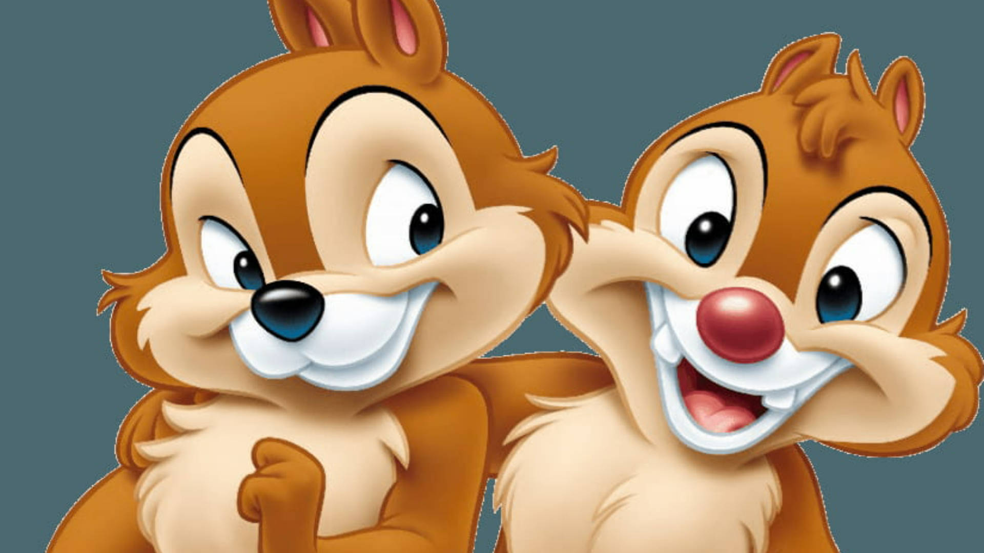 The Brotherhood Of Chip N Dale Rescue Rangers Wallpaper