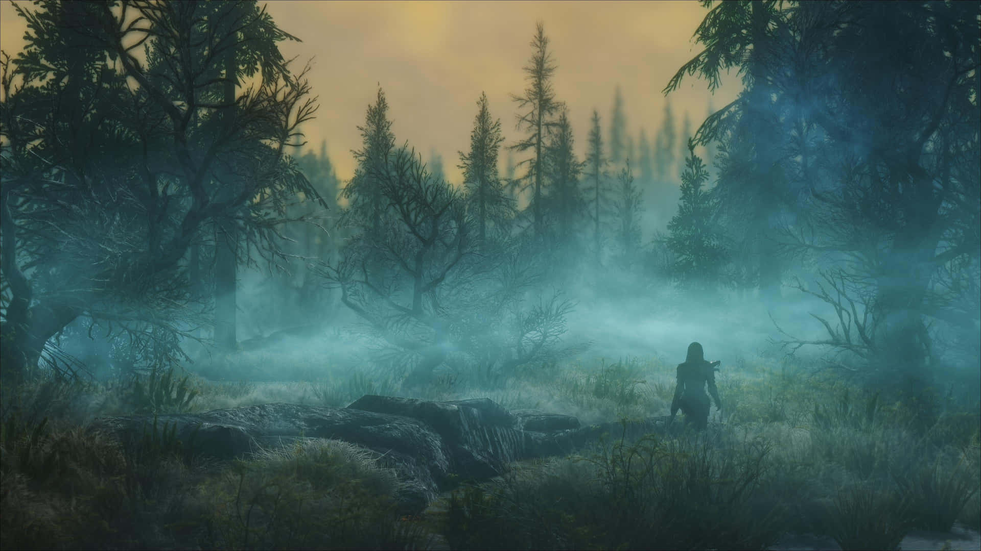 The mesmerizing landscape of Elder Scrolls V: Skyrim