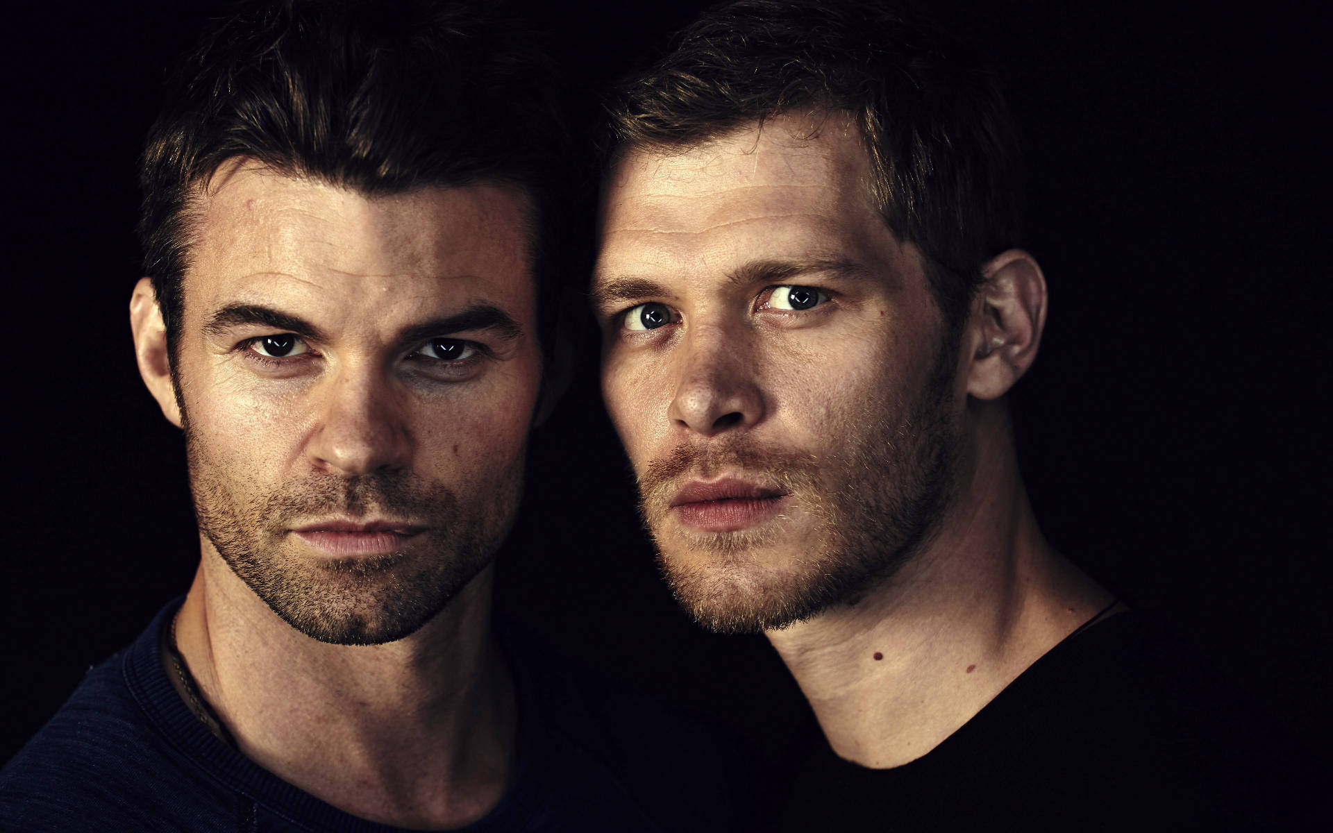 The Originals Mikaelson Brothers Wallpaper