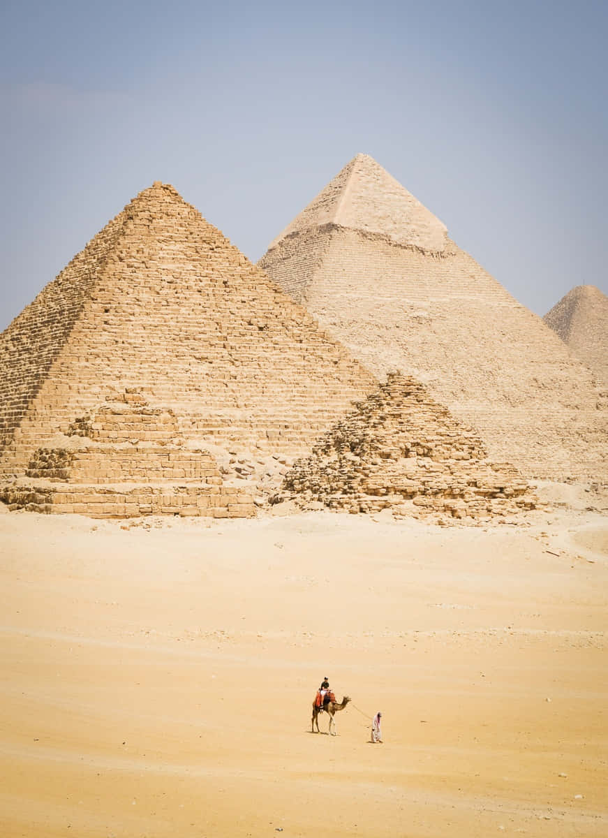 Caption: A Tourist enjoying camel ride with the backdrop of the Majestic Pyramids of Giza Wallpaper