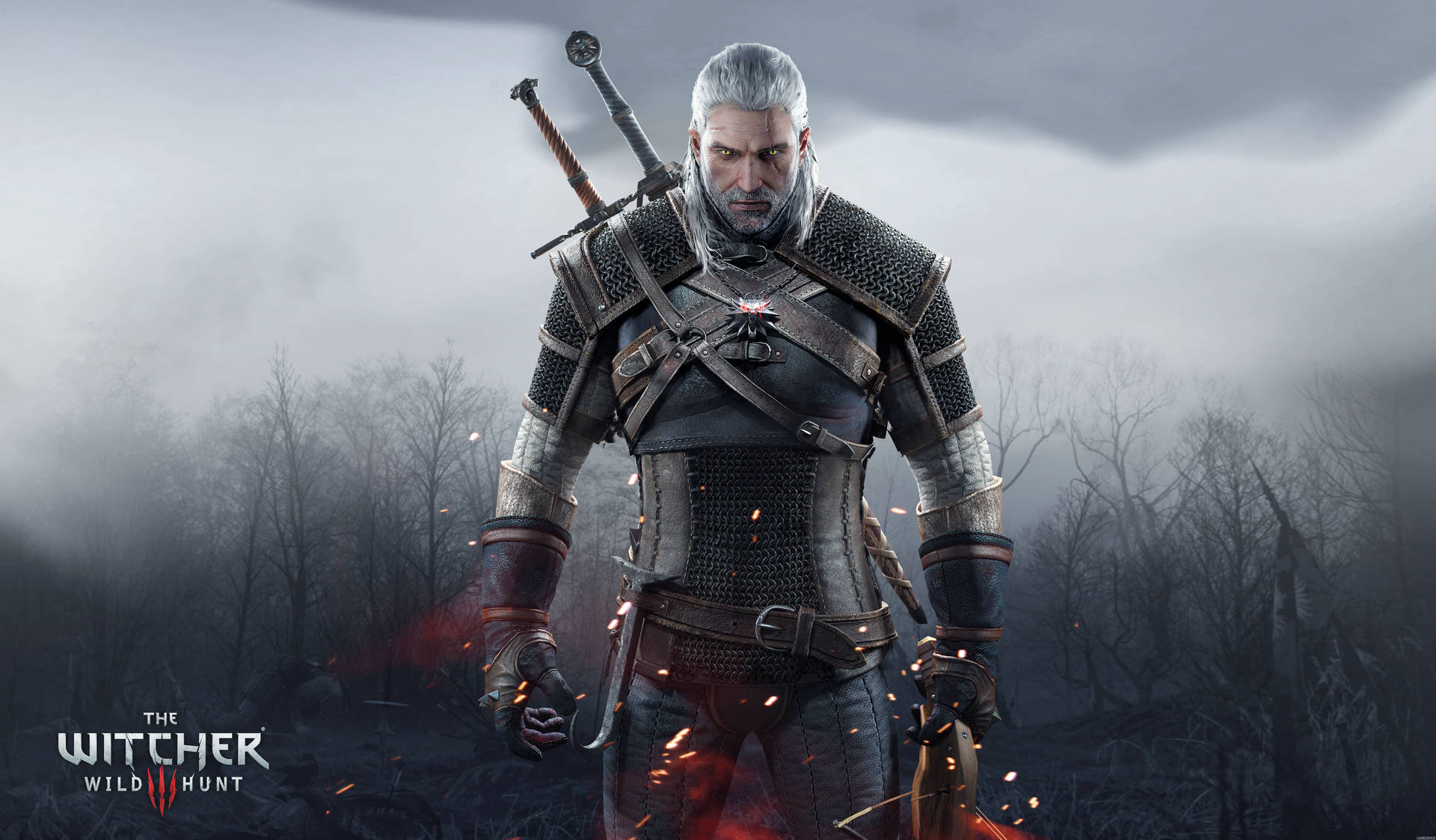 "Explore the stunning landscape of The Witcher 3: Wild Hunt" Wallpaper