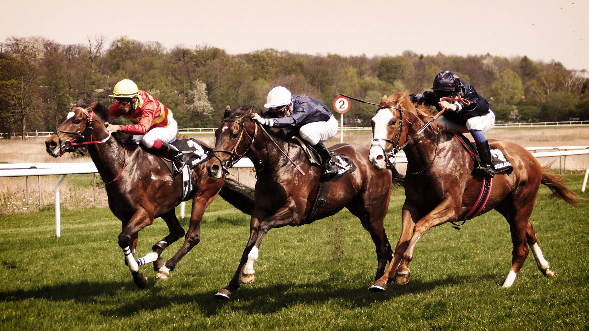 Three Horsemen In A Horse Racing Wallpaper