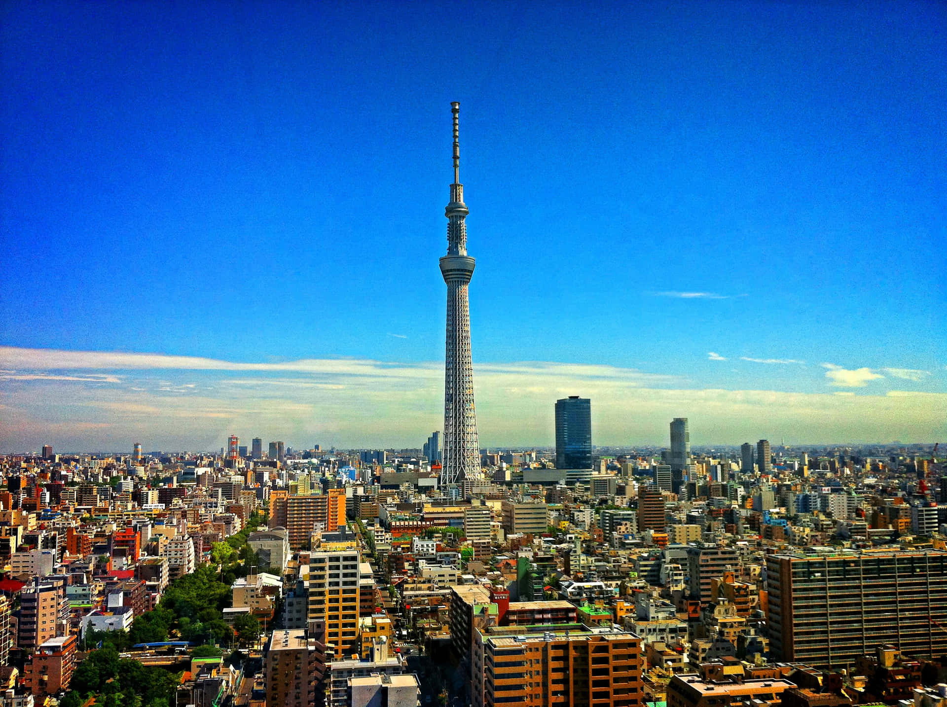 Explore the vibrant city of Tokyo and immerse yourself in its unique culture