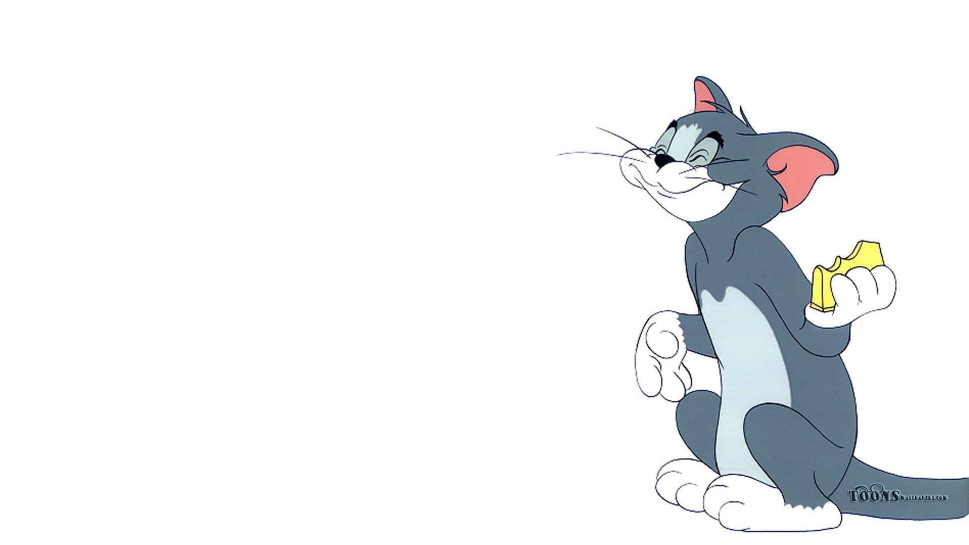 Tom Cat Tom And Jerry Wallpaper